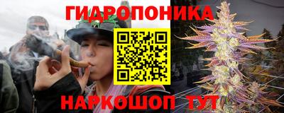 спайс Кунгур