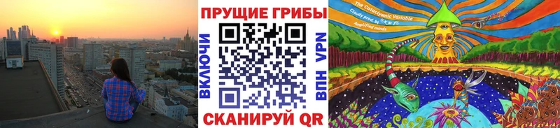 Псилоцибиновые грибы Psilocybine cubensis  Зеленокумск 