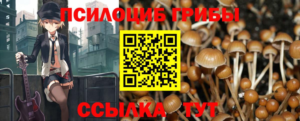 Галлюциногенные грибы Magic Shrooms  Вход с VPN  Зеленокумск 